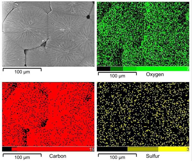 pNaSS 通过臭氧化和接枝聚合接枝到PCL表面研究